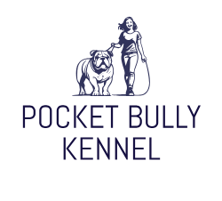 pocket bully puppies for sale